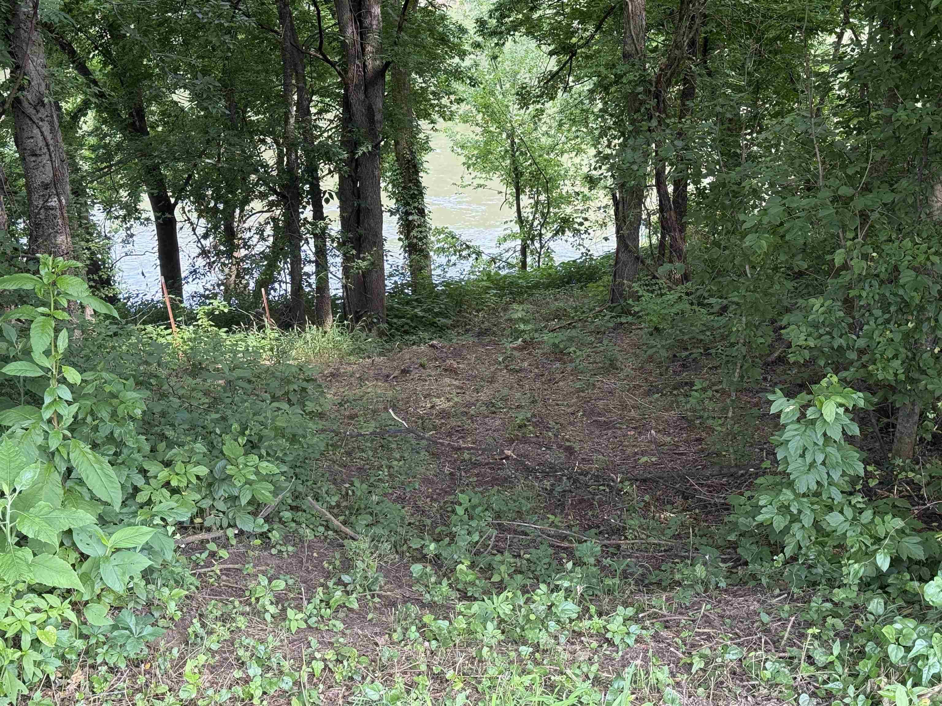 Mountain View, AR 72560,20 Allure Lane