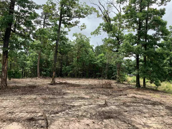Clinton, AR 72031,533 Eagle View
