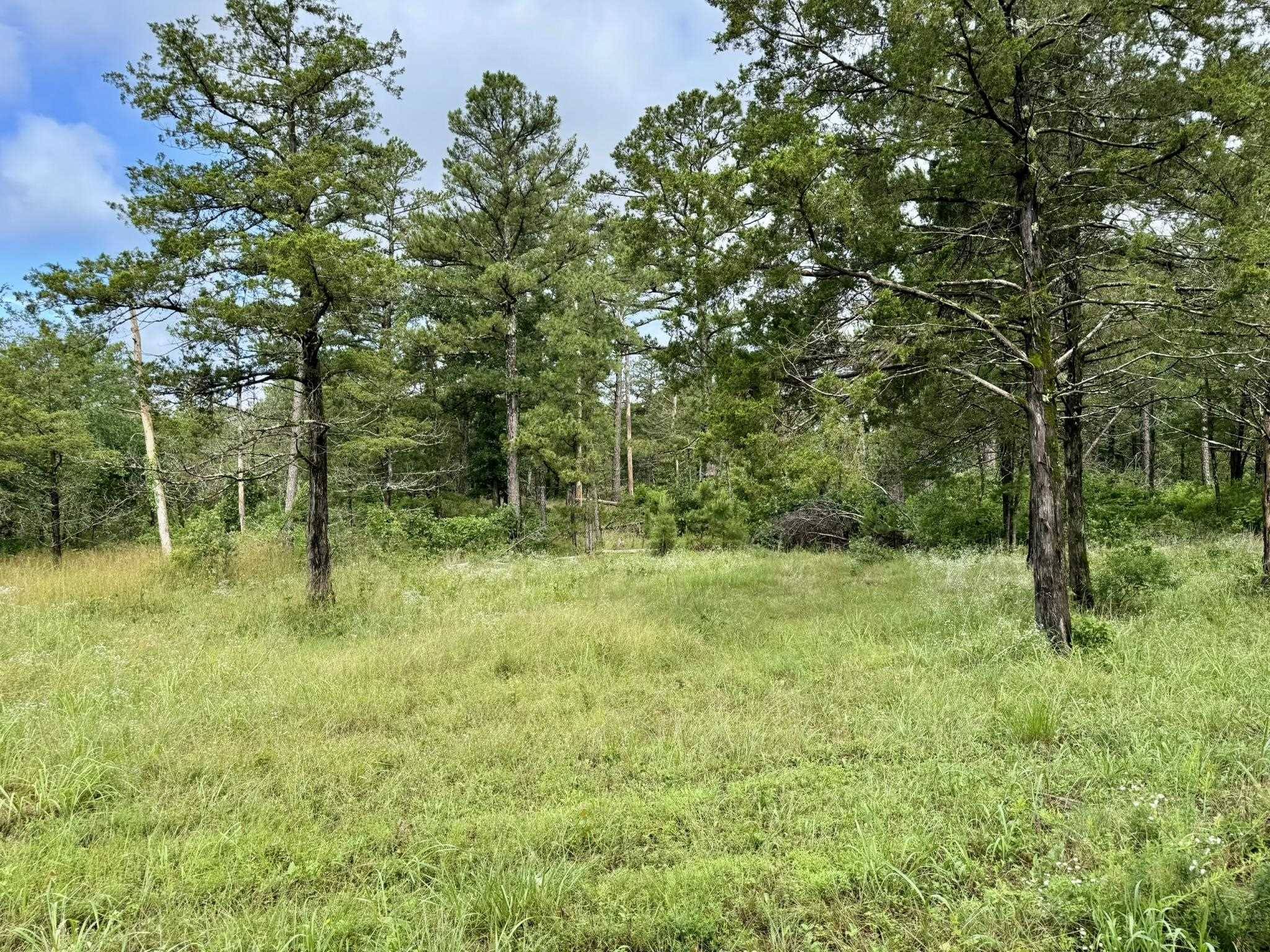 Melbourne, AR 72556,400 Tree Farm Road
