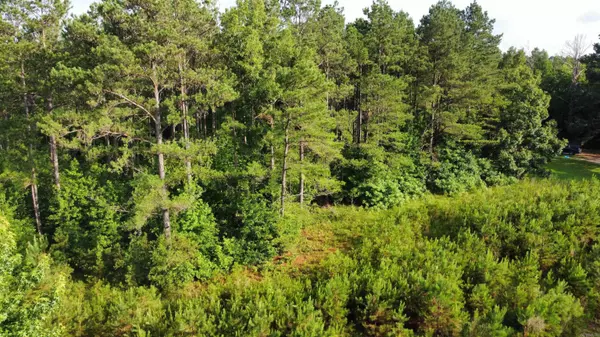 County Road 33 Road, Hermitage, AR 71647