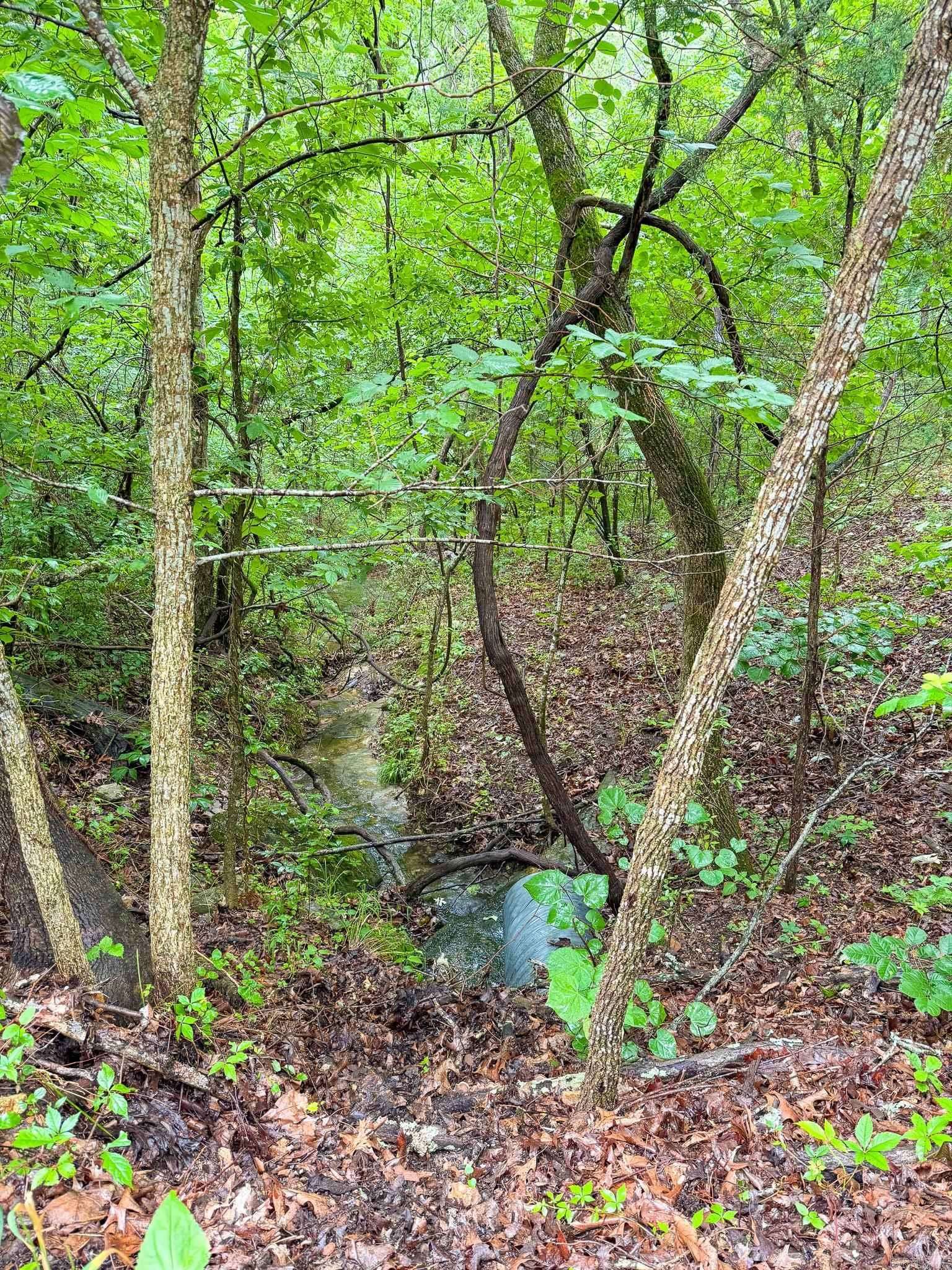 14848 Wild Honey Drive, Garfield, AR 72732