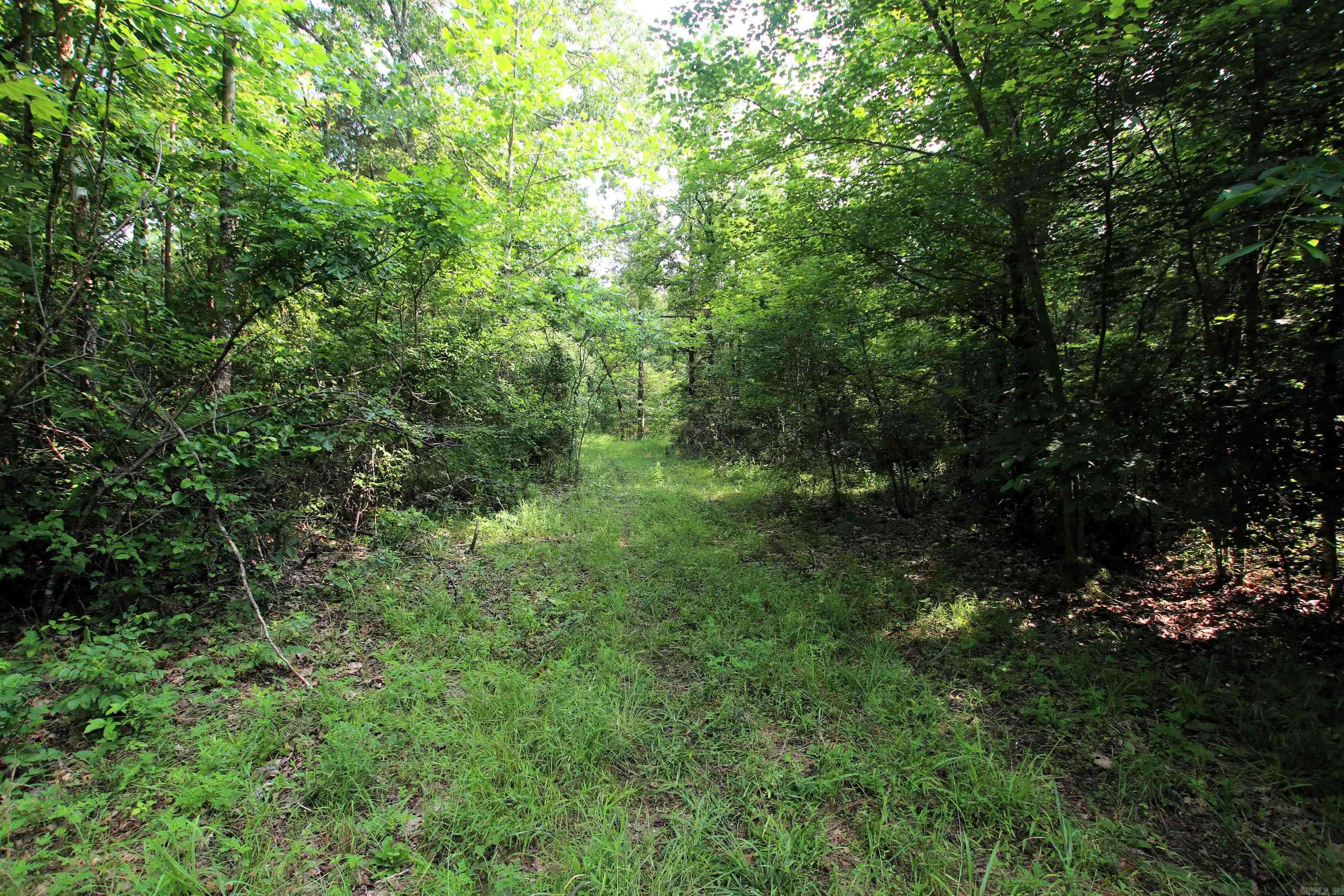 Scotland, AR 72141,000 Drivers Creek Lane
