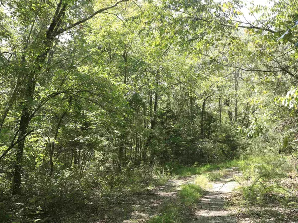 Horseshoe Bend, AR 72512,210 E Bo Peep Lane