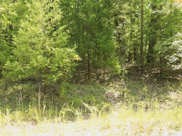 Horseshoe Bend, AR 72512,1303 Red Bird Lane