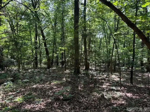 Pocahontas, AR 72455,TBD Springview Road