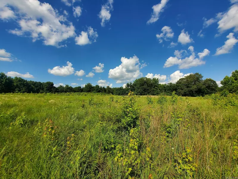 1306  CR 461, Piggott, AR 72454