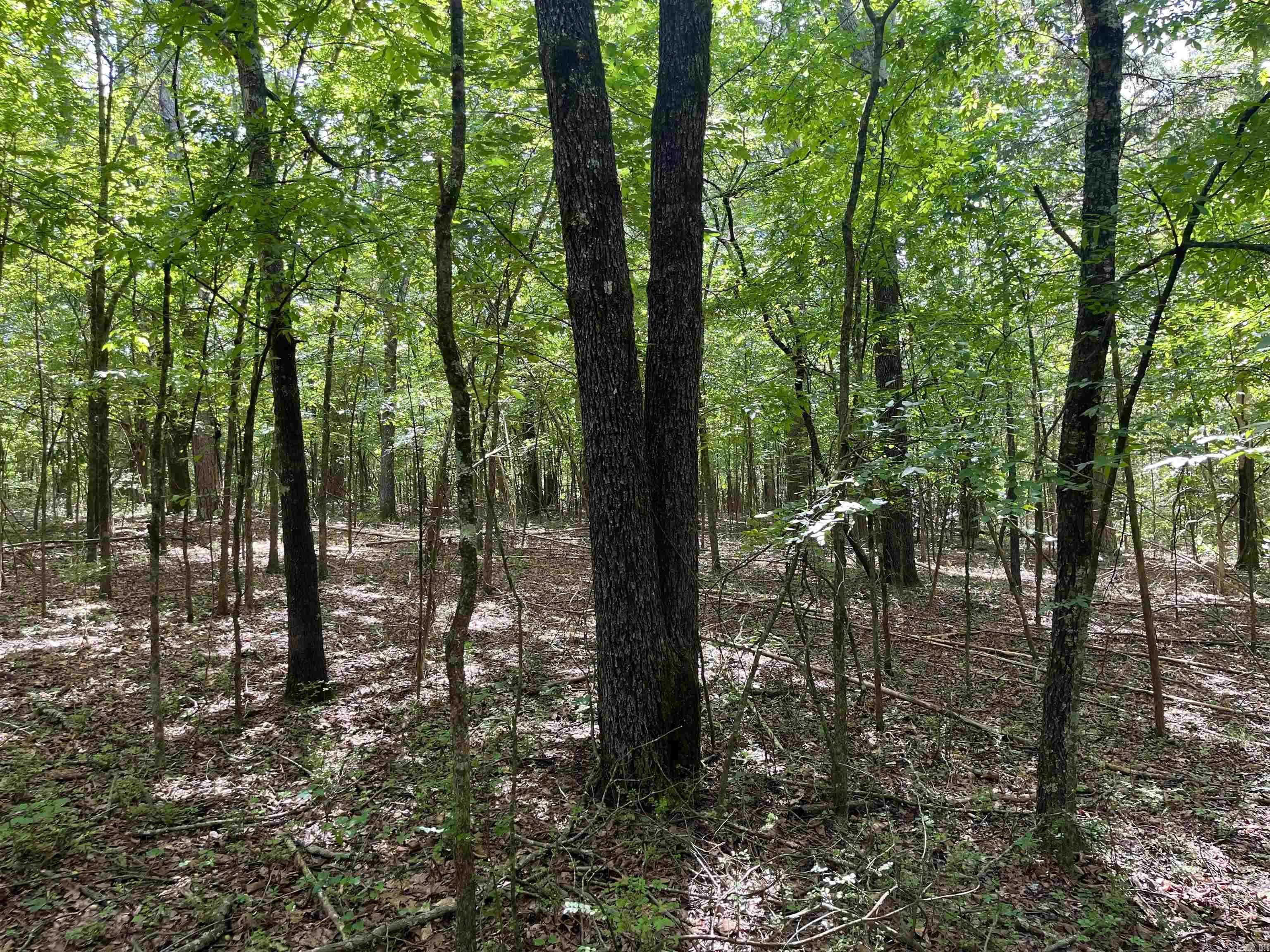 Heber Springs, AR 72543,Address not disclosed