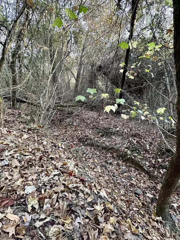 Mena, AR 71953,Lots 17-21 Westmoreland Heights