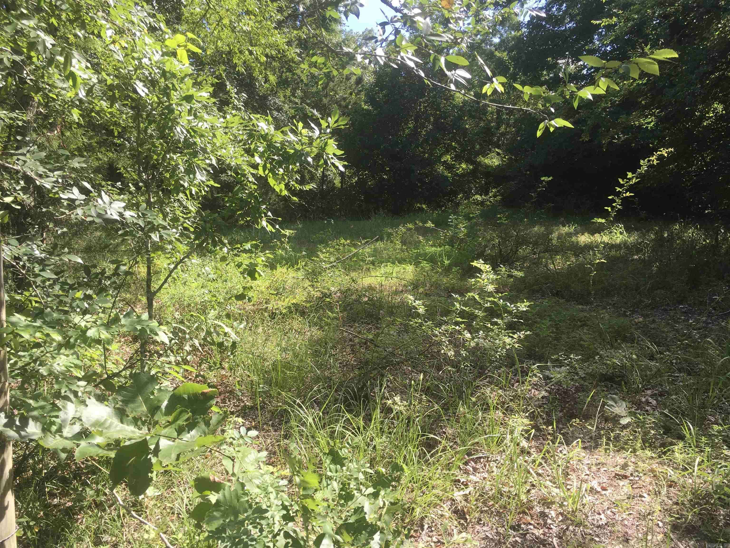TBD Weeping Willow lane, Mena, AR 71953-0000