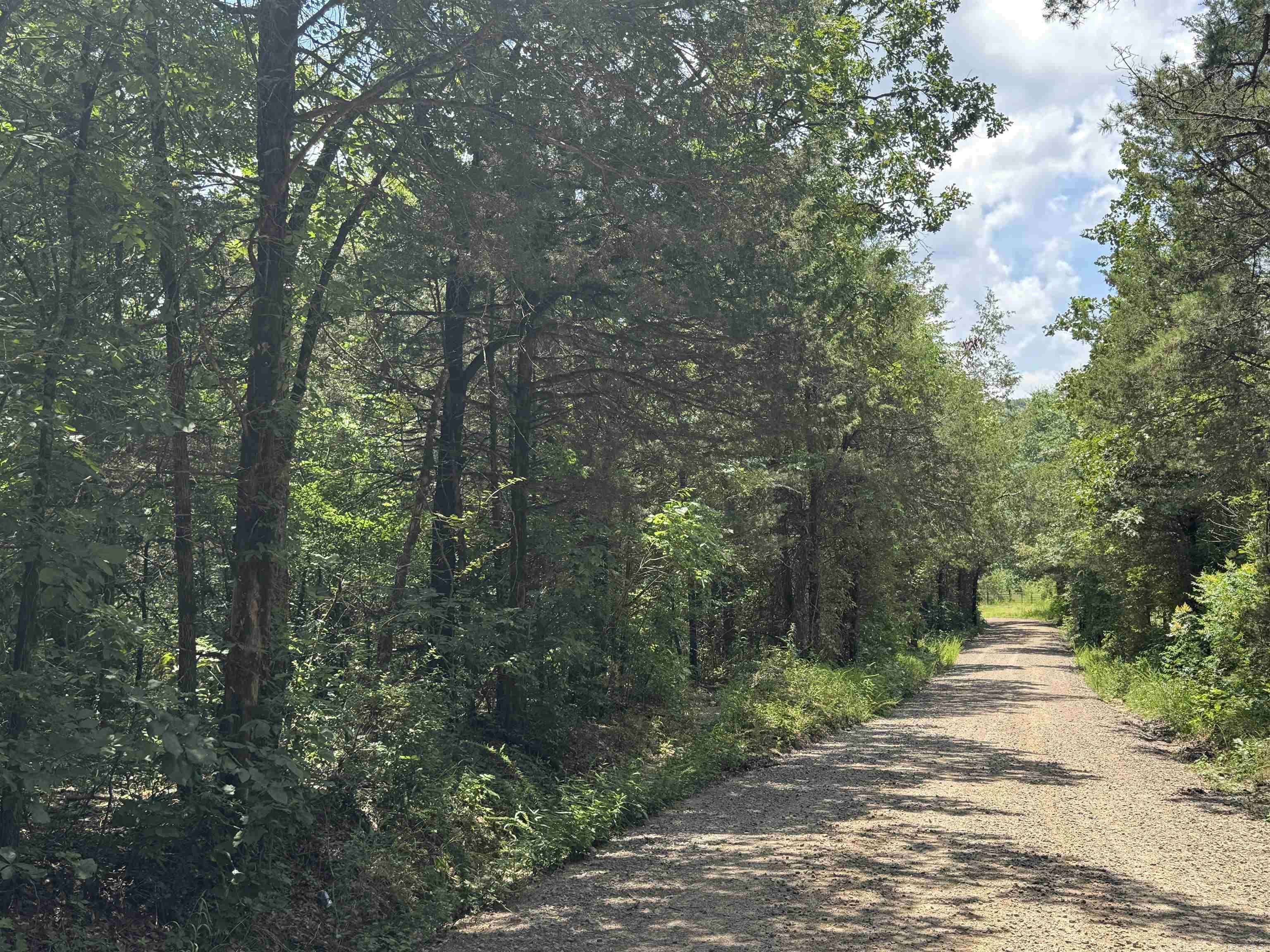 000 Uncle Bud Road, Center Ridge, AR 72027