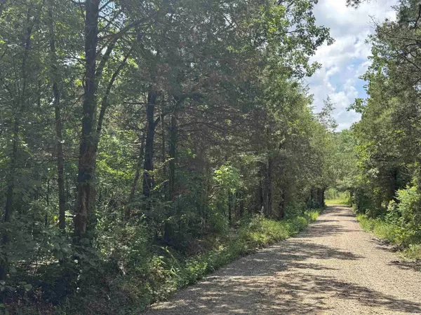 000 Uncle Bud Road, Center Ridge, AR 72027