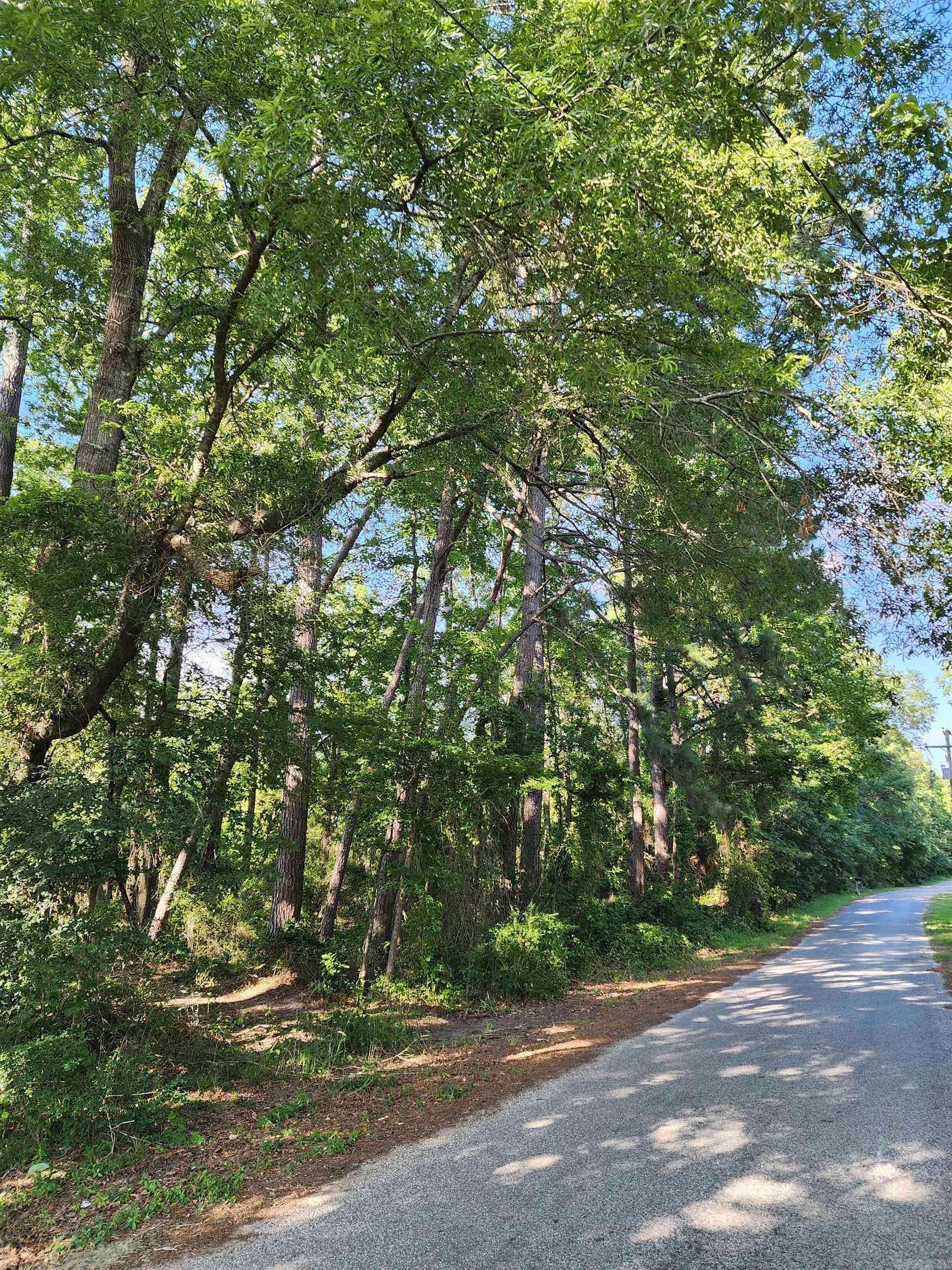 000 Shannon Dr, Leola, AR 72084