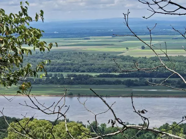 160 Acres America Road, Morrilton, AR 72110