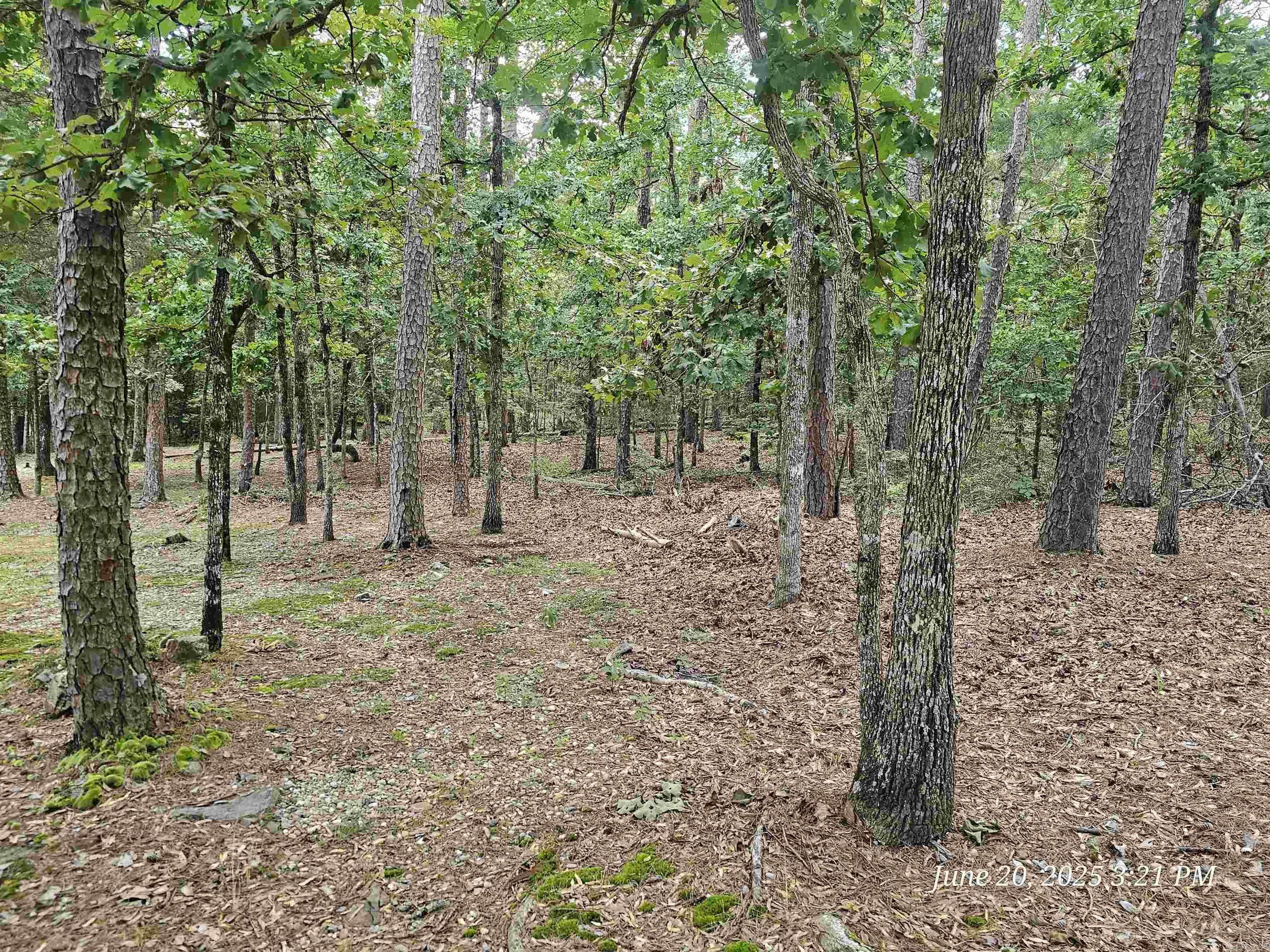 23 Fastota Lane, Hot Springs Village, AR 71909