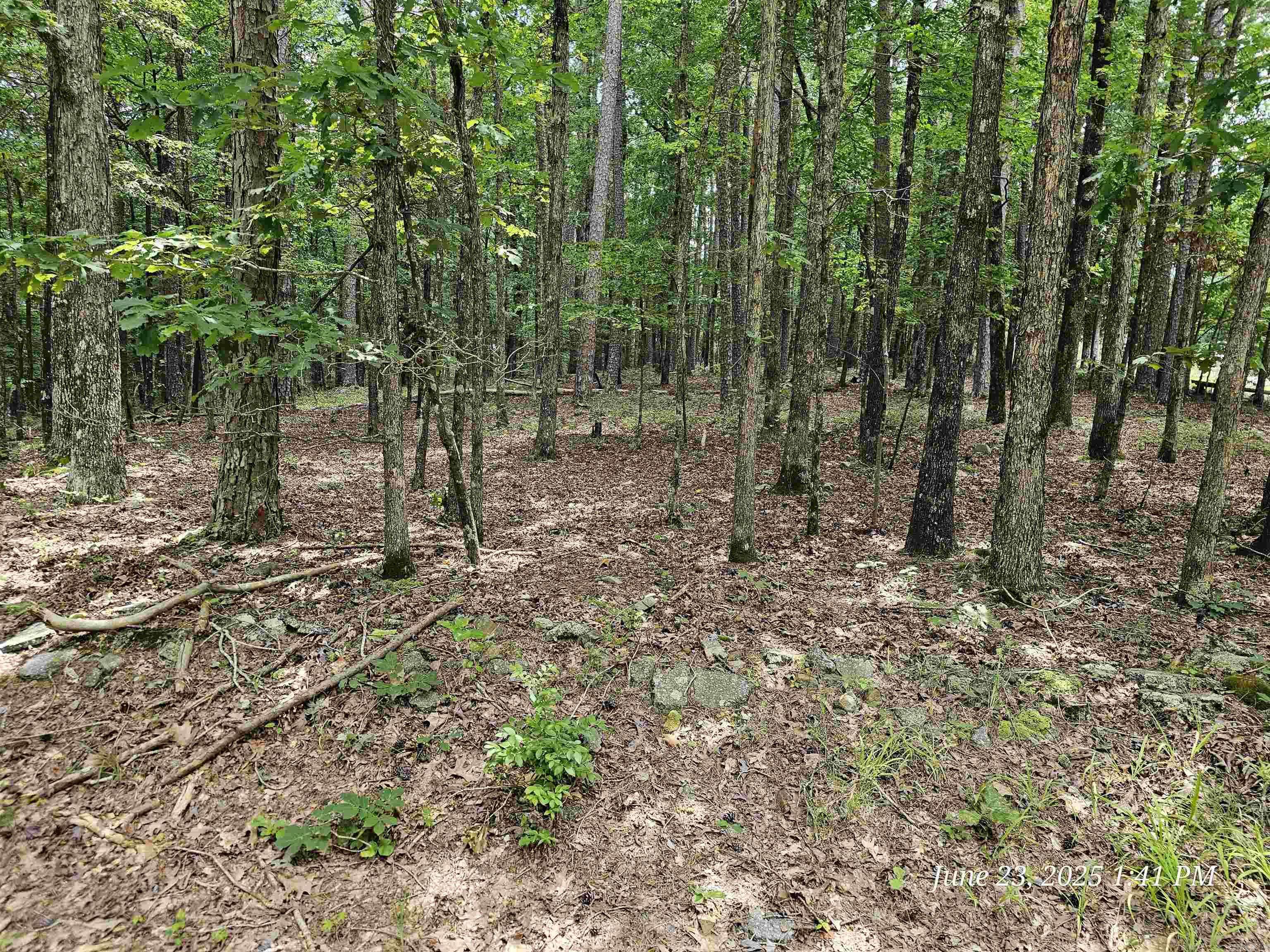 46 Doscientos Way, Hot Springs Village, AR 71909