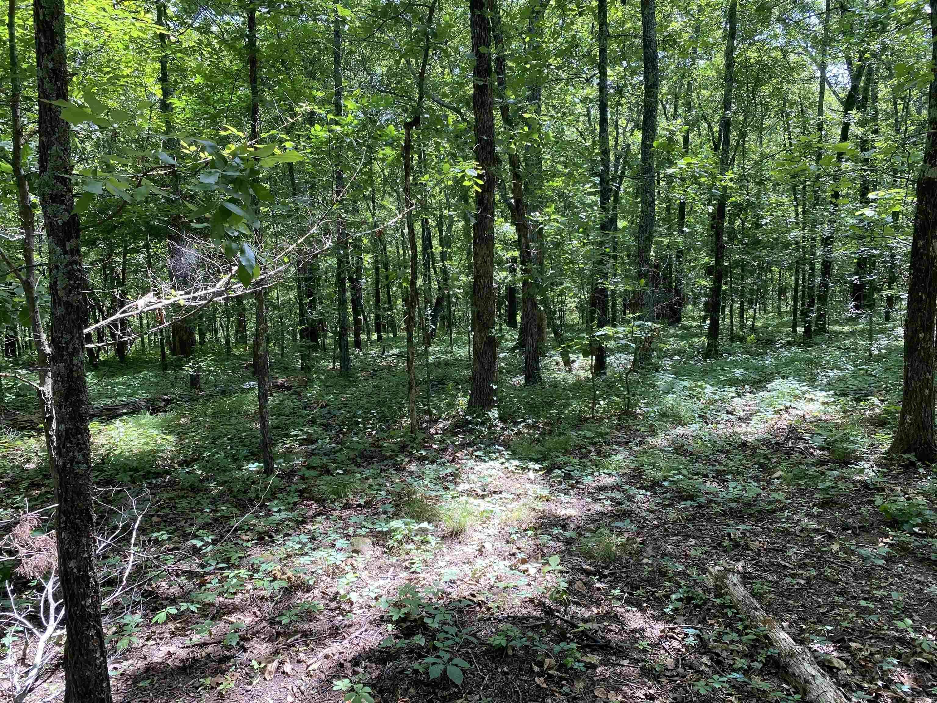 Edgemont, AR 72044,Lot 5 Bluff Drive