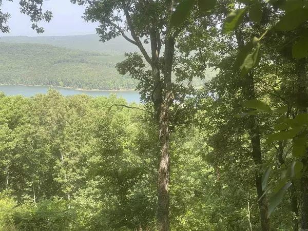 Edgemont, AR 72044,Lot 22 Bluff Drive