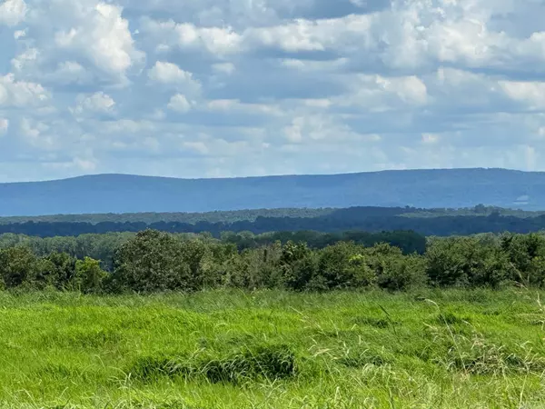 Coal Hill, AR 72832,TBD River Road