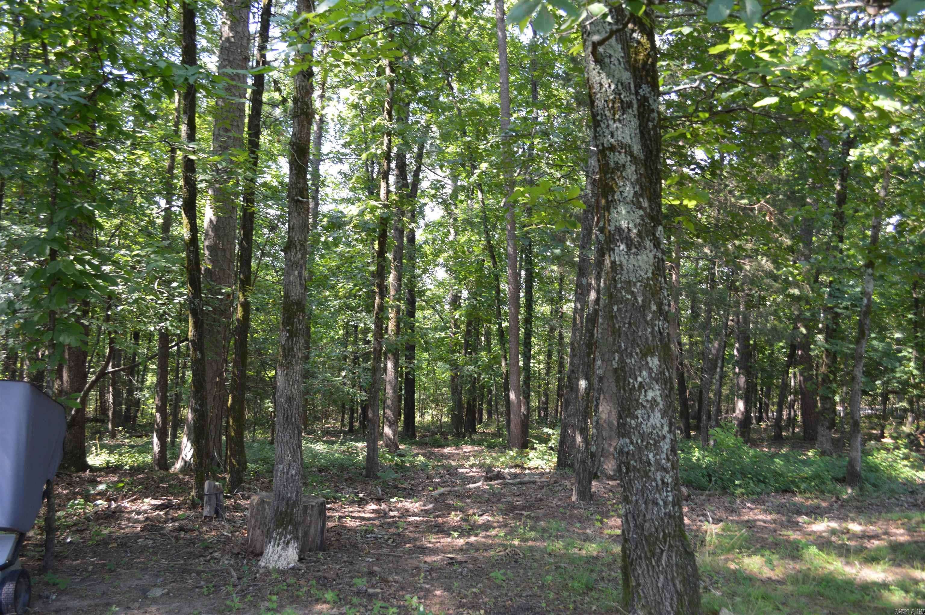 Heber Springs, AR 72543,Lot 12 Timberline