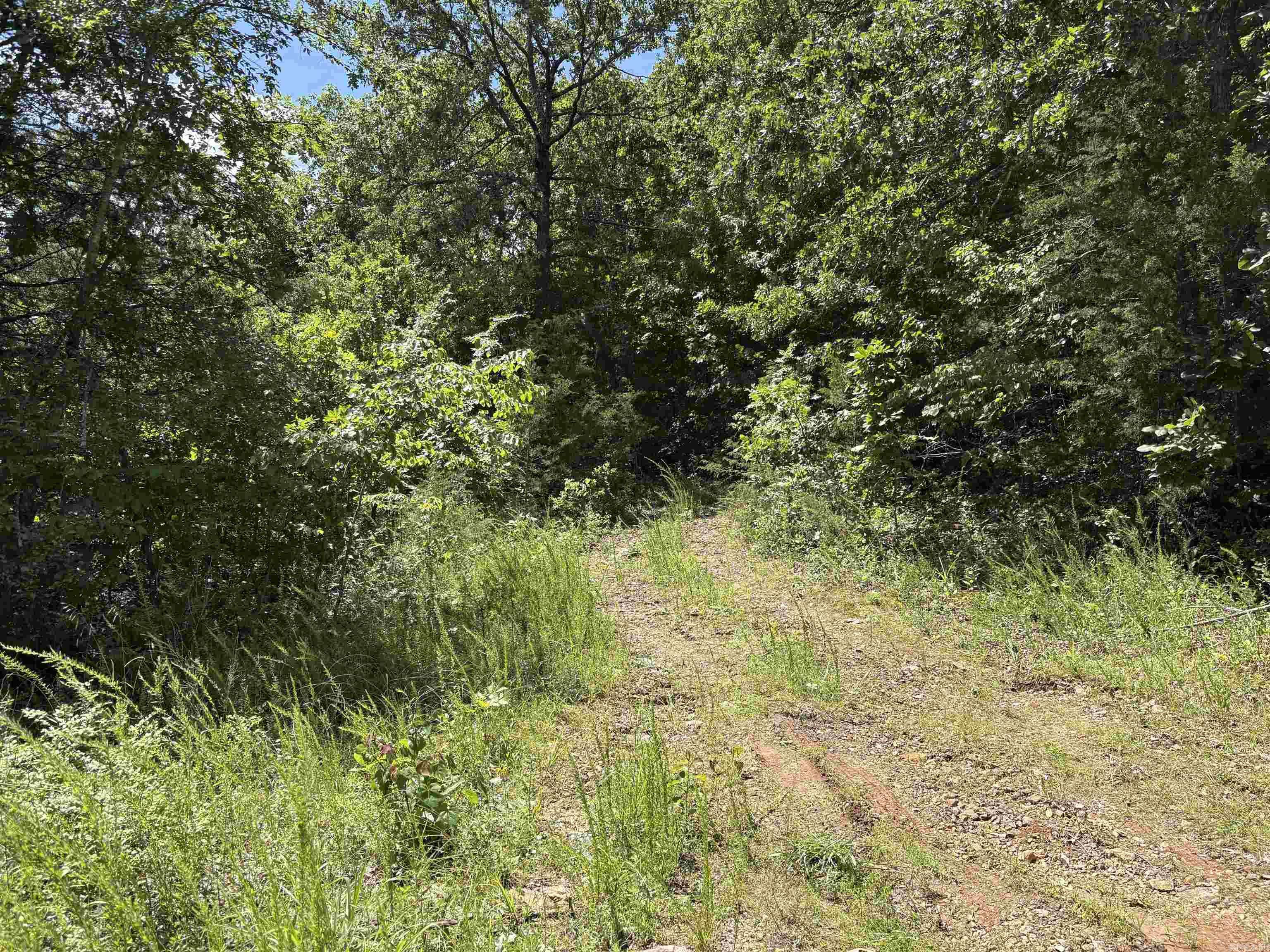 Pyatt, AR 72672,780-01045-000 Saint Clair Trail