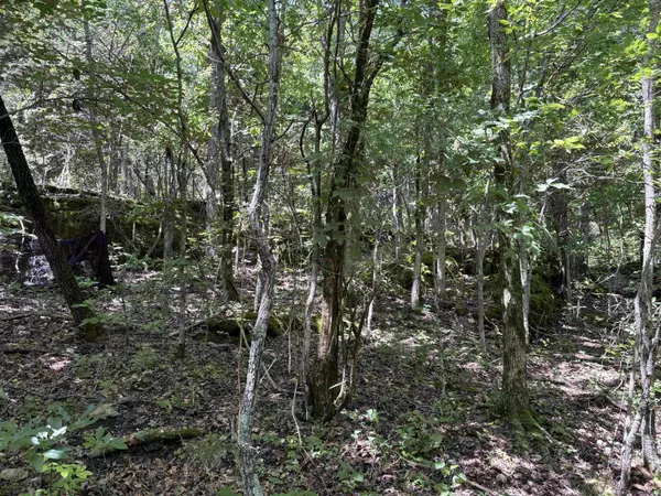 Pyatt, AR 72672,780-01045-000 Saint Clair Trail