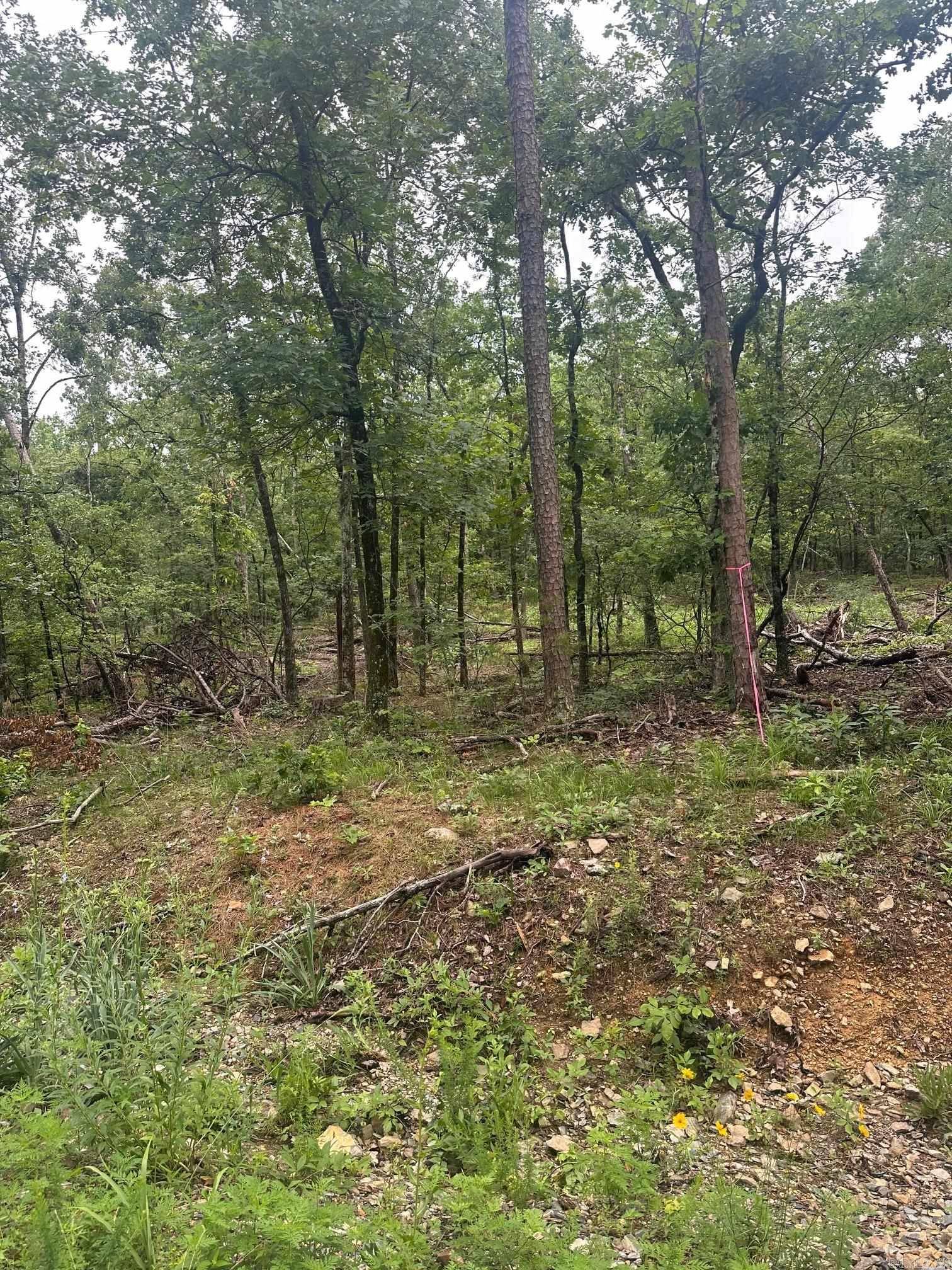 Orense Place, Hot Springs Village, AR 71909-000