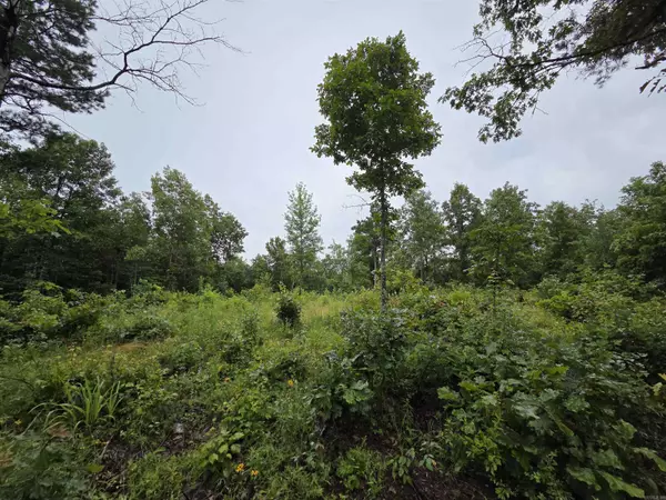 0 Highway 254, Dennard, AR 72031