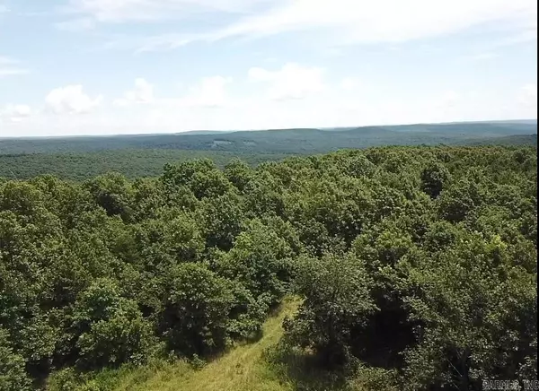 Sunnyland Road, Mountain View, AR 72560