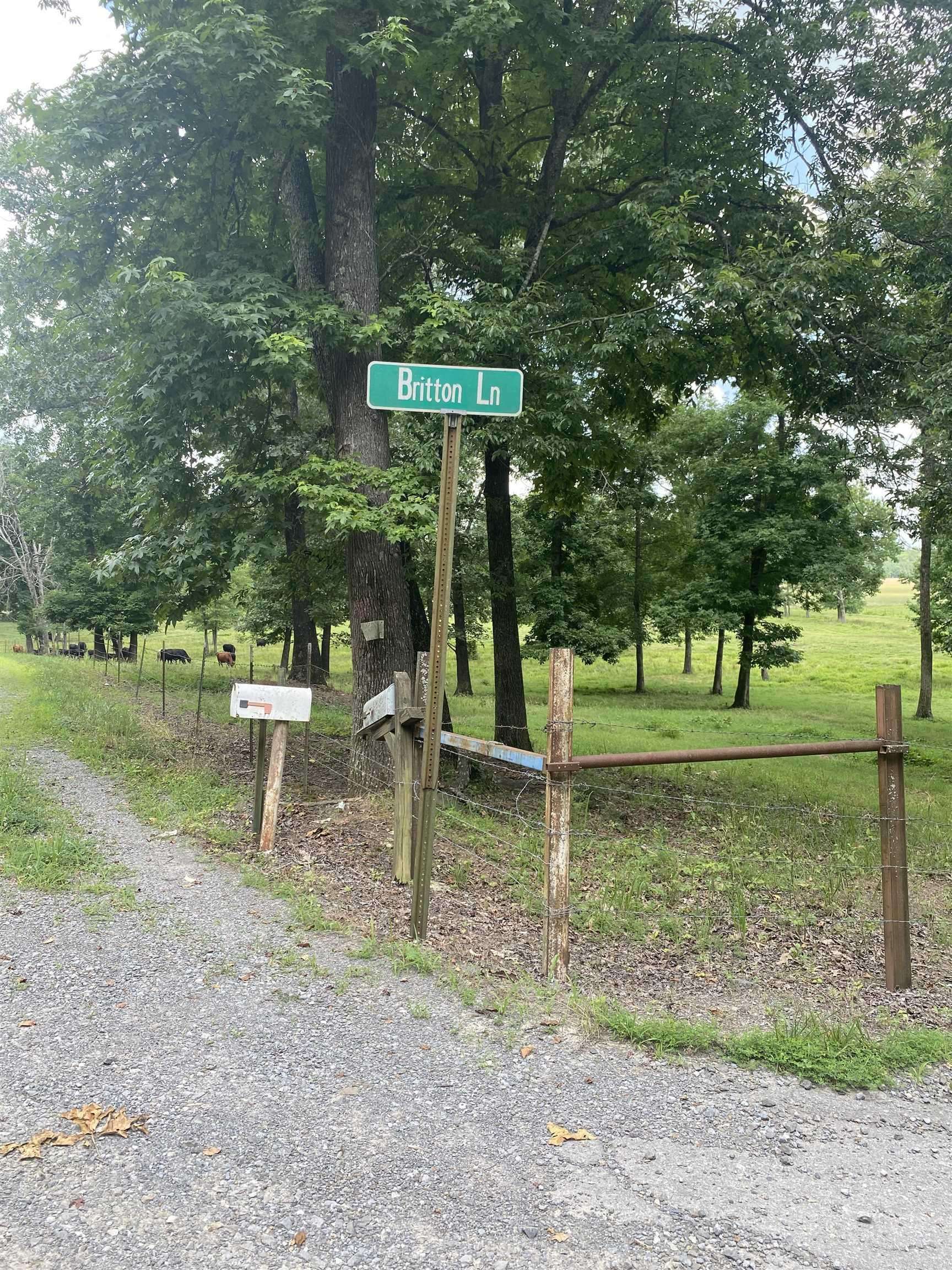 Pangburn, AR 72121-9659,125 Britton Lane