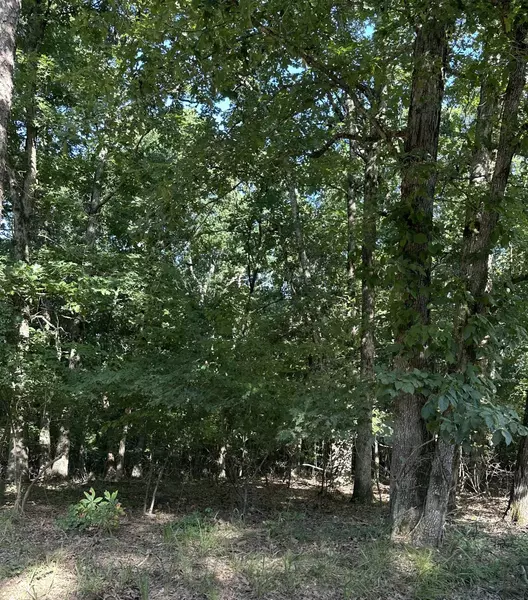 5 Acres Greene 614, Paragould, AR 72450
