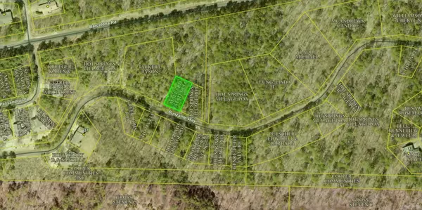 Hot Springs Village, AR 71909,Punzante Way