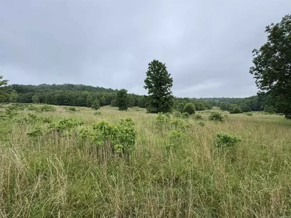 Camp, AR 72520,0 Honeytree Lane