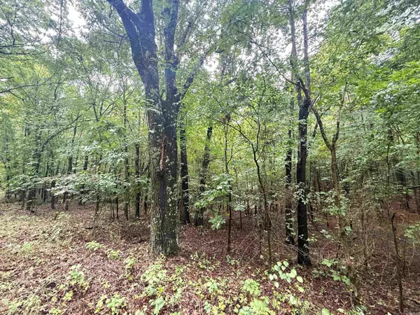 Piggott, AR 72454,1 Clay 472/461 Road