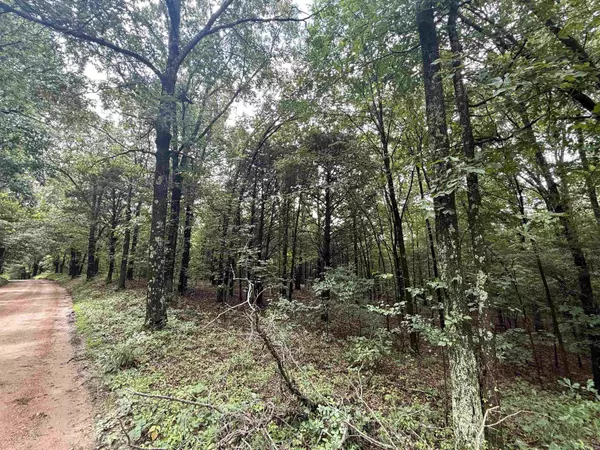 Piggott, AR 72454,1 Clay 472/461 Road