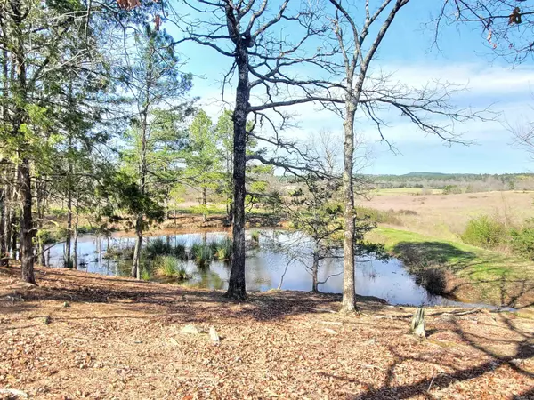820 Blow Out Mtn. Road, Pencil Bluff, AR 71965