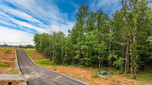 Greenbrier, AR 72058,19 Sky Eagle Drive
