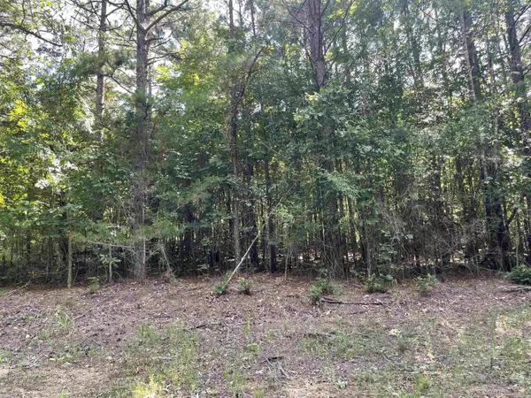 Heber Springs, AR 72543,Stowe Road