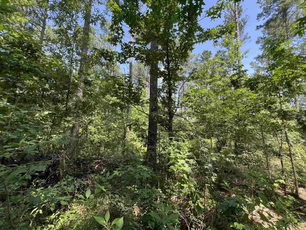Searcy, AR 72143,000 Sammie Smith Road