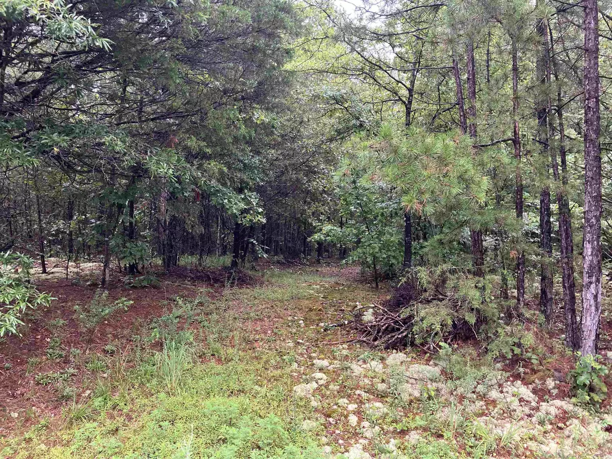 Pencil Bluff, AR 71965,Address not disclosed