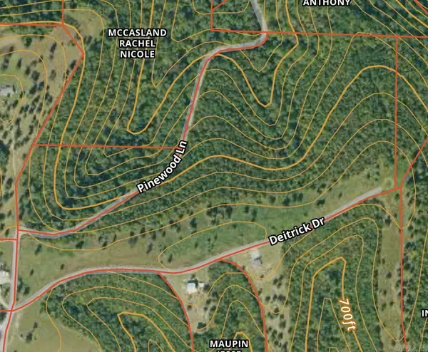 Tract 2 Deitrick Drive,  Mountain View,  AR 72560