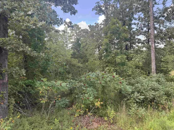 Sherwood, AR 72120,00 Moon Road