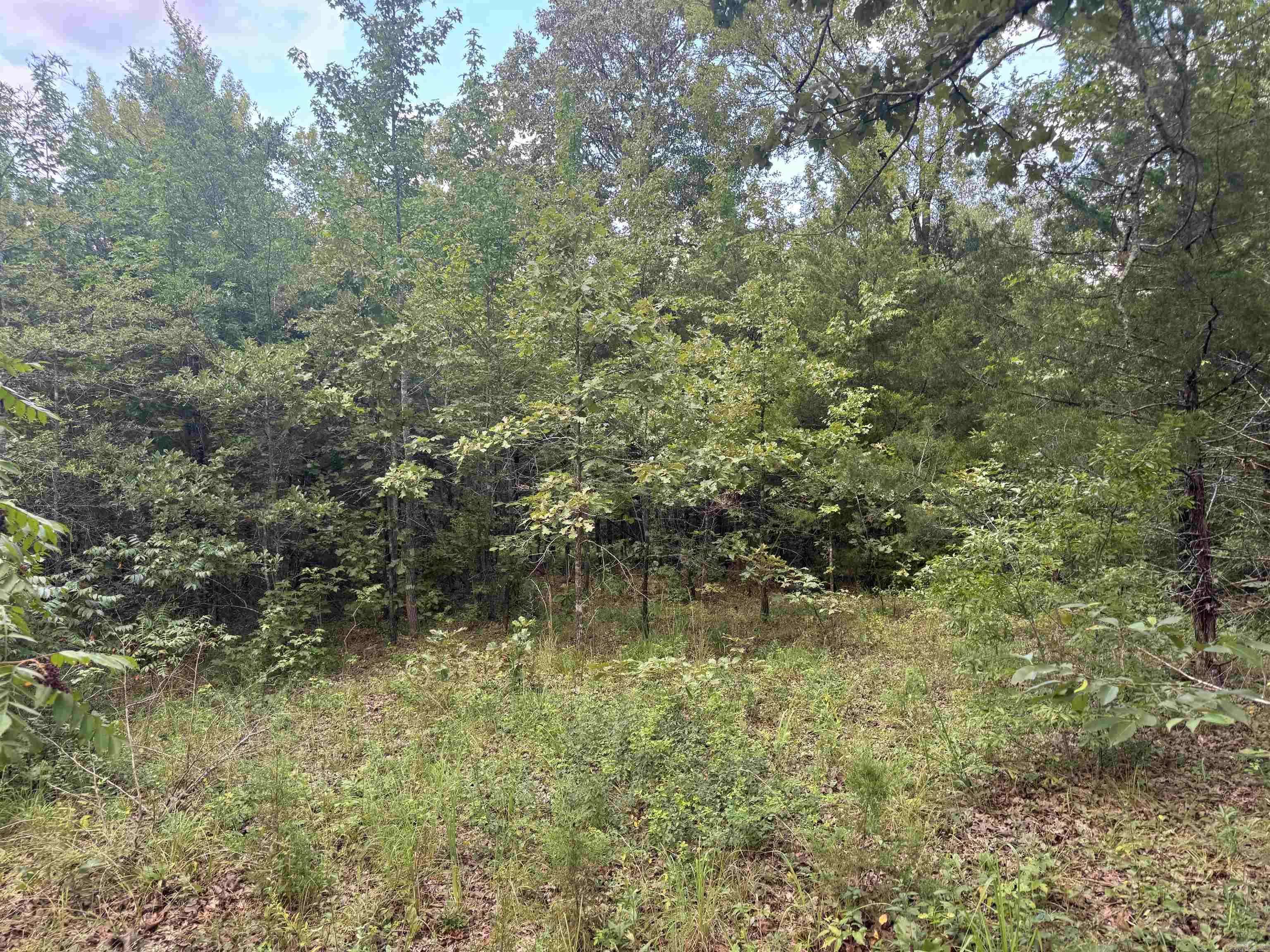 Sherwood, AR 72120,00 Moon Road