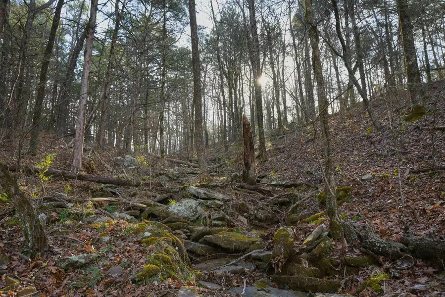 7.5 acres Mountain Meadows Road, Shirley, AR 72153