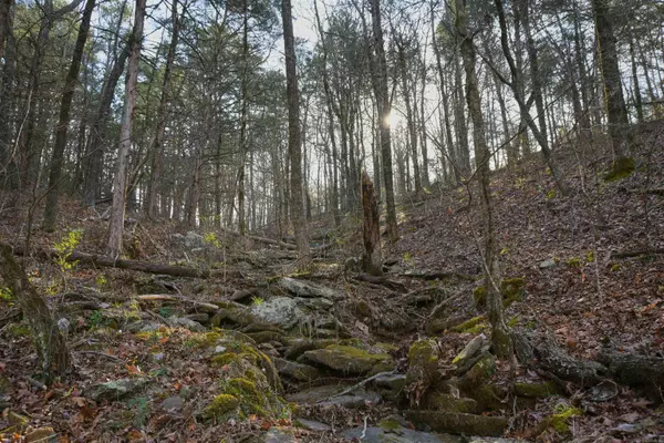 Shirley, AR 72153,7.5 acres Mountain Meadows Road