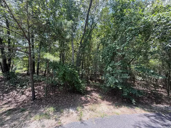 Hot Springs Village, AR 71909,14 Versalles Lane