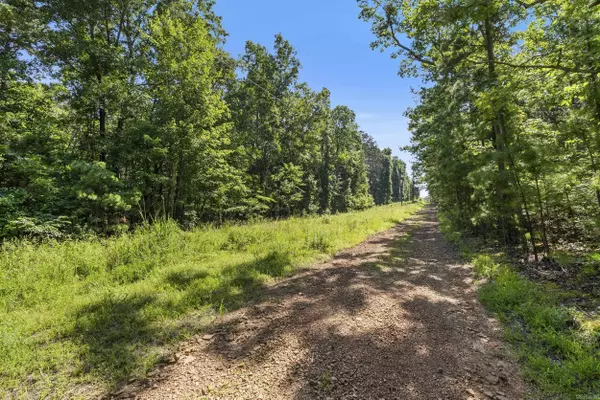 Shirley, AR 72153,650 Little Fox Rd