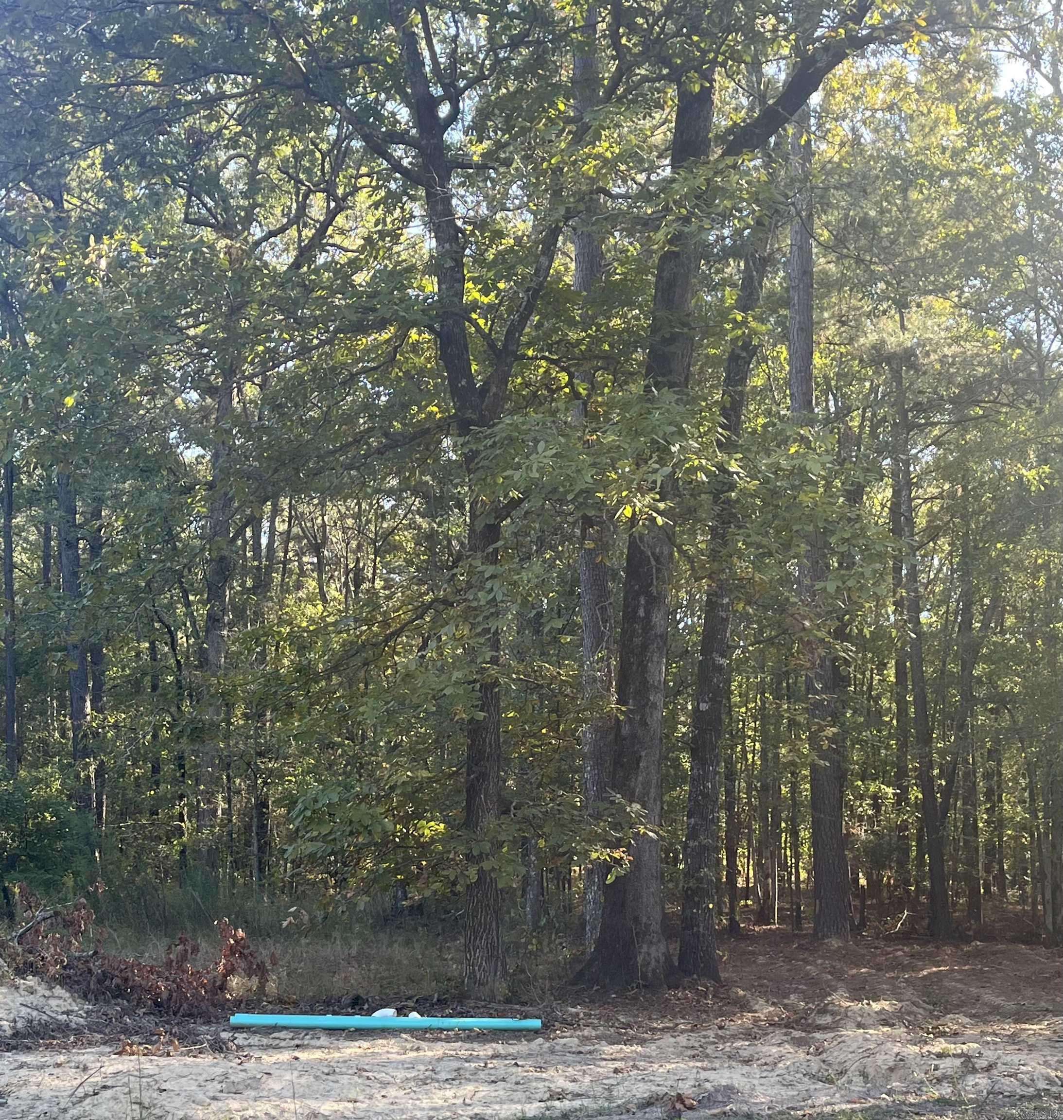 Hensley, AR 72065,6620 Carl Moren