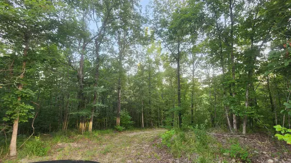 Alexander, AR 72002,Lot 7 Oversprings Drive