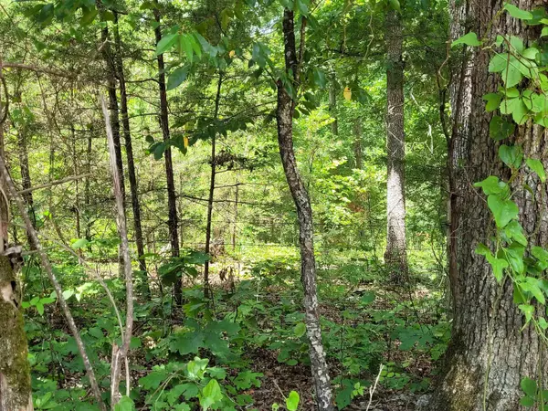 Hardy, AR 72542,TBD Tall Timber Rd