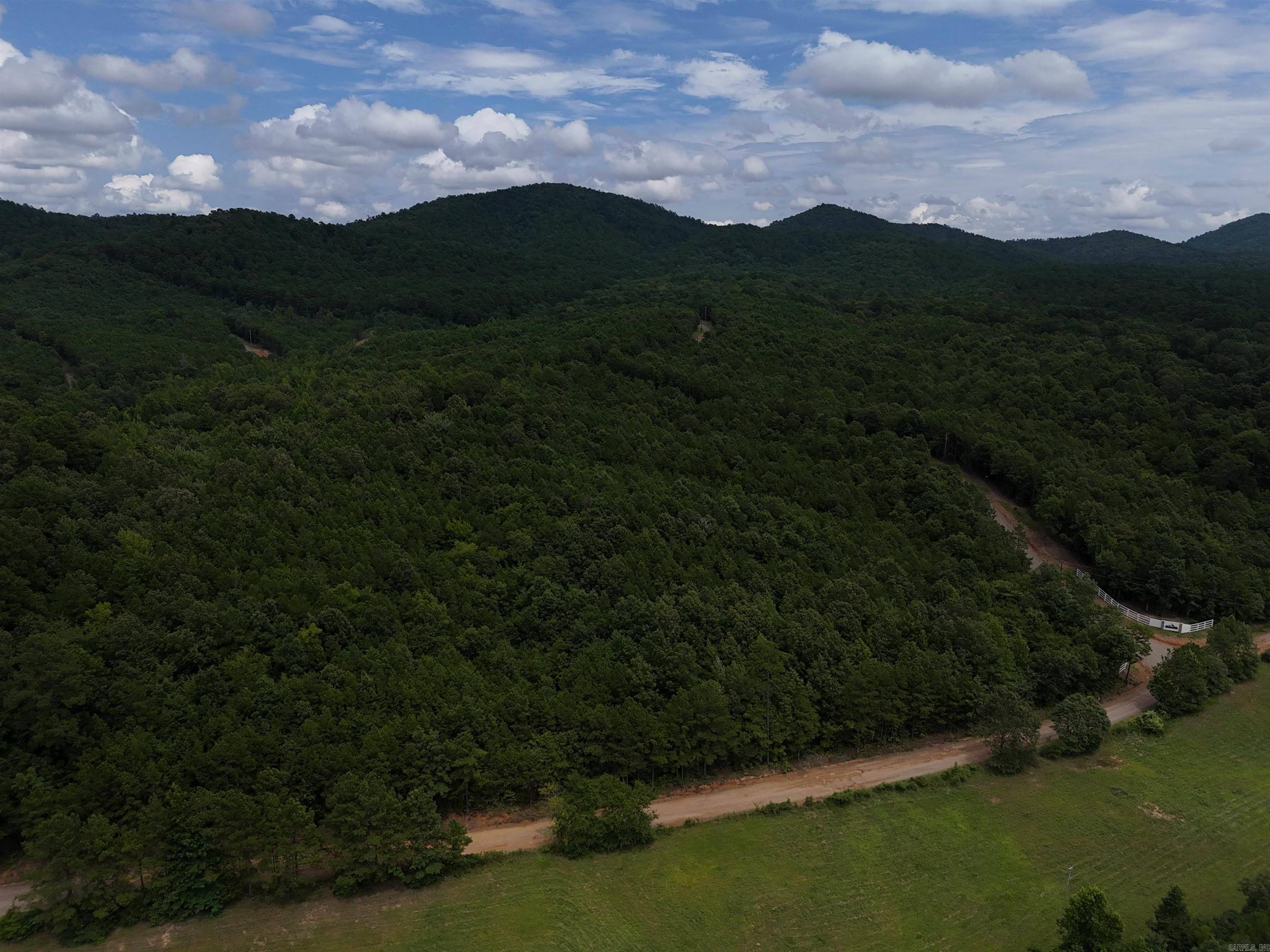 Lot 2 Polk Road 78, Mena, AR 71953